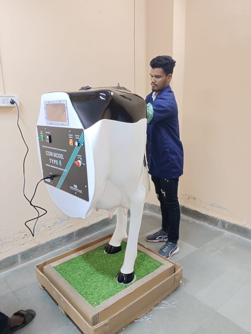 Departmental Facility   Simulation Laboratory  Cow Model For Per Rectal Examination & Artificial Insemination.